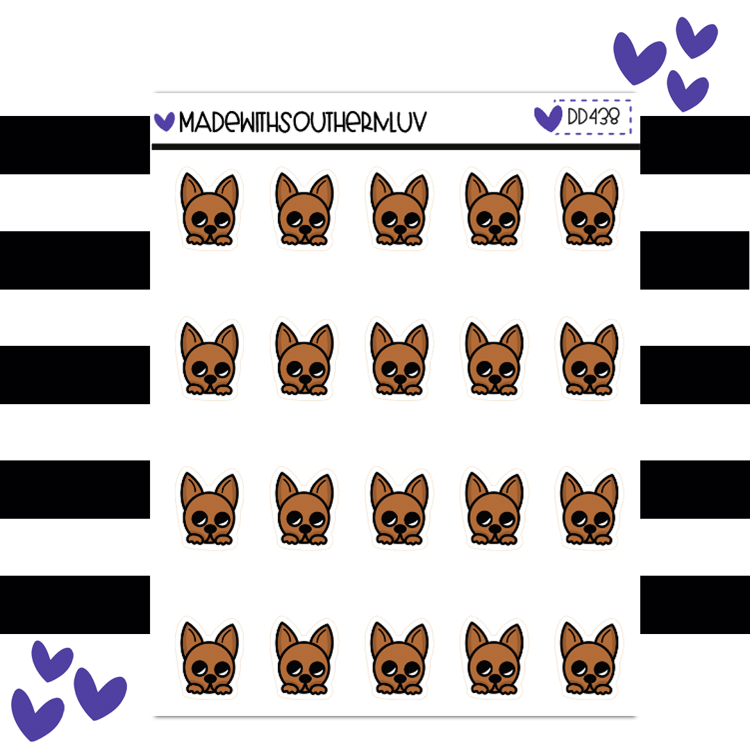 DD438| BROWN PUPPY