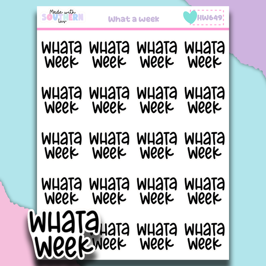 HW649 | WHAT A WEEK